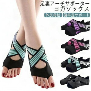 K\bNX O T|[^[ G A[` T|[^[ 5{w ܐȂ ~ EH[NT|[^[ RAg[jO 