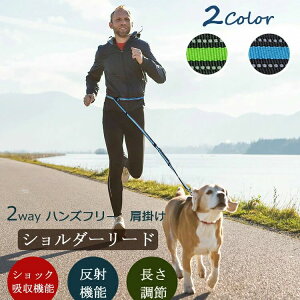 p[h | xgt V_[[h nYt[ 1{6 LkRL ^ ^ ^ g[jO[h pV[