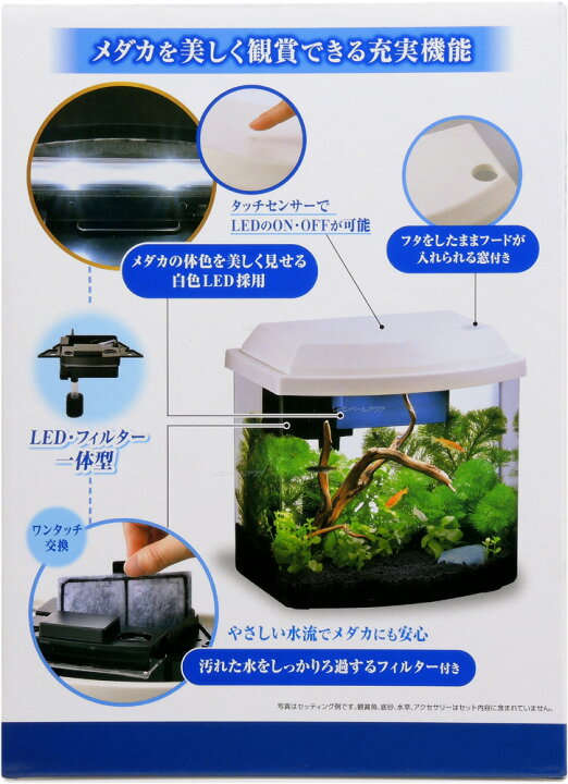楽天市場 全国送料無料 在庫有り Gex メダカ元気 Led フィルター付やさしい水槽セット レヨンベールアクア楽天市場店