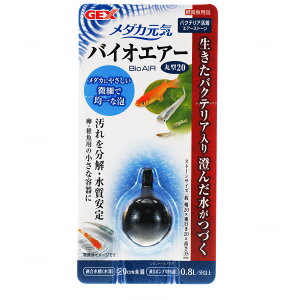 ySzGEX _JC oCIGA[ی^20