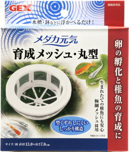 yS590~zGEX _JC 琬bV ی^