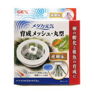 GEX メダカ元気 育成メッシュ 丸型 産卵床付