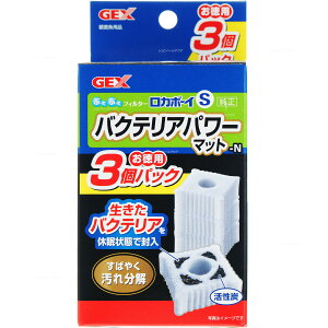 ySzGEX J{[CSoNeAp[}bg p3pbN