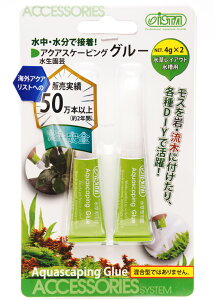 ySzAY[Wp ANAXP[sO O[ 4g×2() (CAEgp)