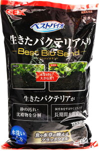 yS590~zGEX xXgoCITh 1.5L (Wp)