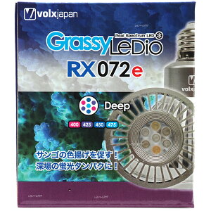 ySz{NXWp ObV[fBIRX072e fB[v