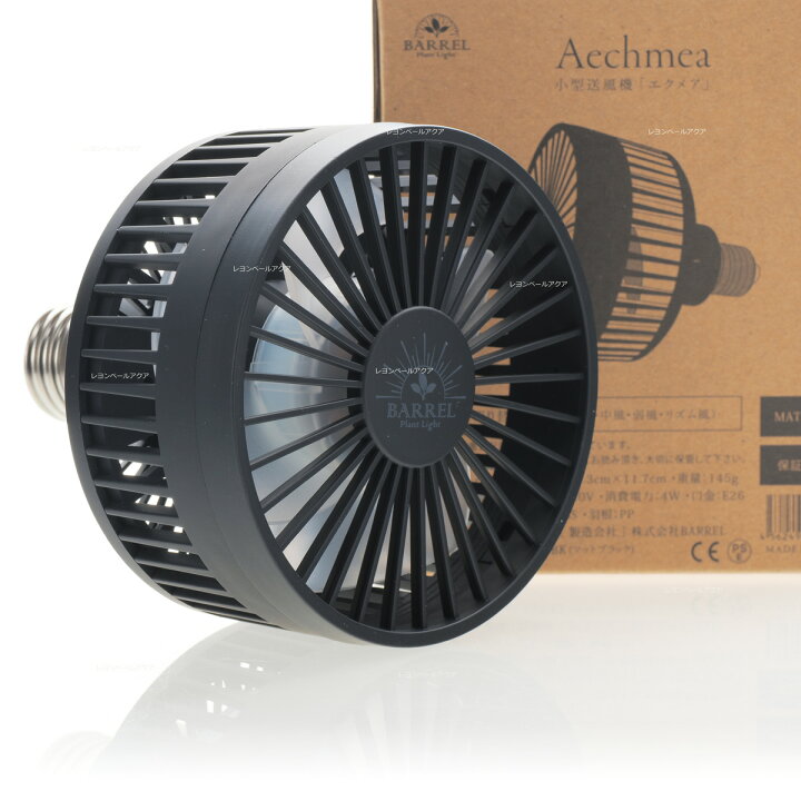 楽天市場】【全国送料無料】BARRELバレル Aechmea エクメア 植物用 