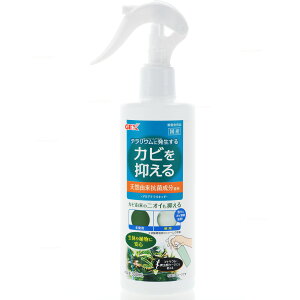 ySzGEX GL]e ANAeLbh 300ml
