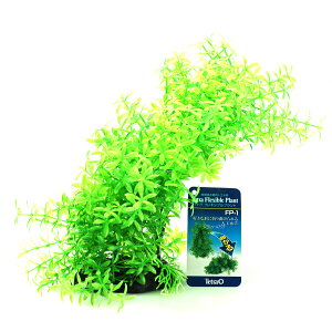 ySzeg lH tLVuvg FP1(Όn)