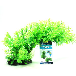 ySzeg lH tLVuvg FP2()