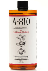 ySz{vWFNgoCI oNeA A810 E_J 500ml