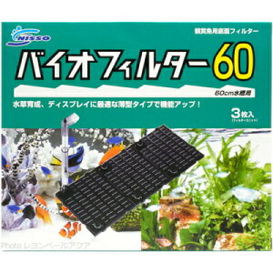 jb\[ oCItB^[60
