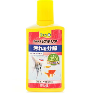 yS590~zeg oNeA 250ml