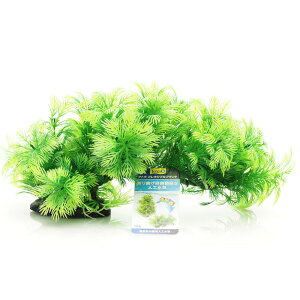 ySzeg tLVuvg FP4 WCAgAuA