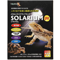 楽天市場】ソラリウム 50wの通販