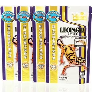 ySzL[ IpQ 60g ×4܂(܂Ƃߔ)