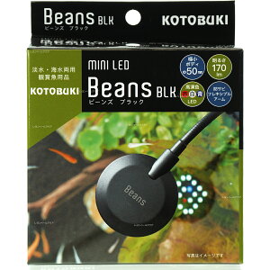 ySzRguL ~jLED r[Y ubN