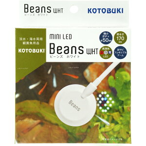 ySzRguL ~jLED r[Y zCg