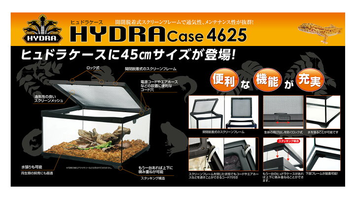 在庫一掃売り切りセール ヒュドラケース4625 Fucoa Cl