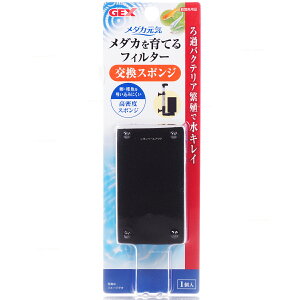 yS590~zGEX _JC _JĂtB^[X|W