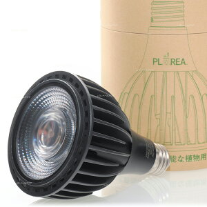 ySz[XC A琬pCg Go[T365 (Go[TTNS[)