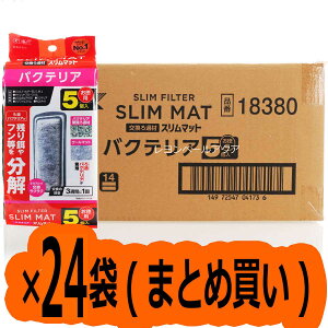 ySzGEX oNeAX}bg 5 ×24 (܂Ƃߔ)