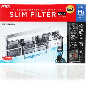 ySzGEX XtB^[ DC-X M3