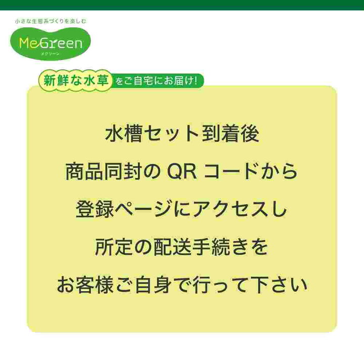 楽天市場】【全国送料無料】GEX MeGreen メグリーン 新鮮な水草付き  