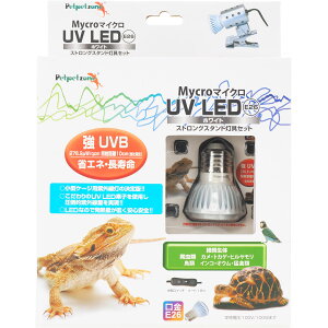 ySz[XC ybgybg][ }CN UV LED E26 zCg+ XgOX^hZbg
