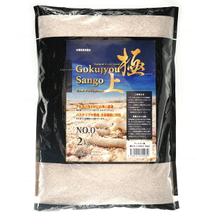 ySzJUN ɏTS No0 2kg (1mmȉ)