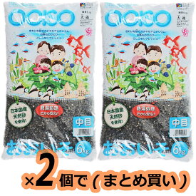 【全国送料無料】SDシンセー 大磯砂 おおいそ 中目6kg ×2個(まとめ買い)