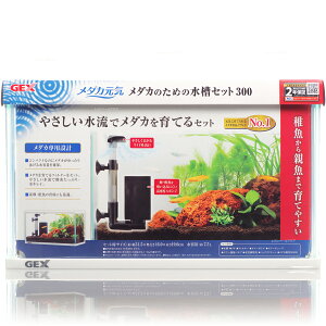 ySzGEX _JC _Ĵ߂̐Zbg300