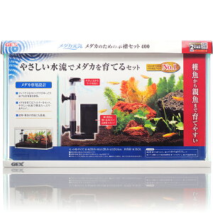 ySzGEX _JC _Ĵ߂̐Zbg400