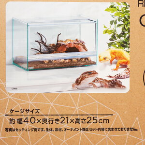 ySzGEX GL]e veA NAlI 400 X