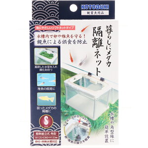 ySzRguL 炵Ƀ_Julbg S