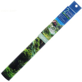 【全国送料無料】コトブキ 2ウェイフォトスクリーン 水草の森 60cm用バックスクリーン