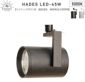 【全国送料無料】BARRELバレル HADES LED 45W-5000K ブラック (新商品)