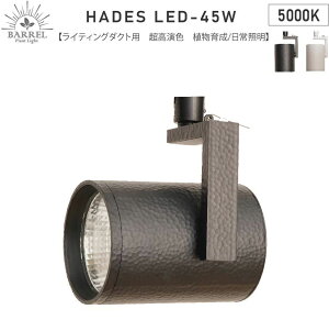 �y�S�����������zBARREL�o���� HADES LED 45W-5000K �u���b�N