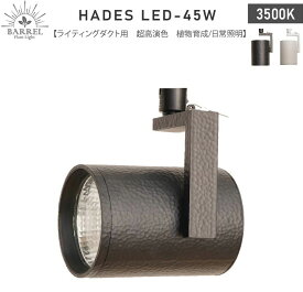 【全国送料無料】BARRELバレル HADES LED 45W-3500K ブラック (新商品)