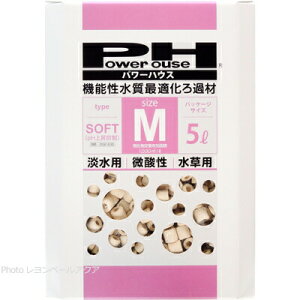 ySzp[nEX 5bg MTCY \tg^Cv  ()