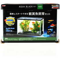 楽天市場】海水魚 水槽セット（ペット・ペットグッズ）の通販