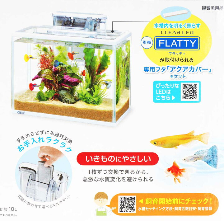 楽天市場】【全国送料無料】GEX 水槽セット スリムアクアセット300 