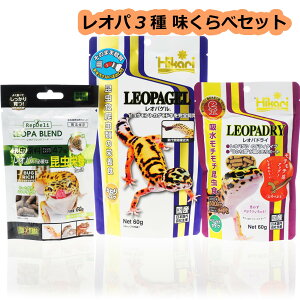 ySzIp 3햡׃Zbg IpQ60g+IphC60g+Ipuht[h60 ()