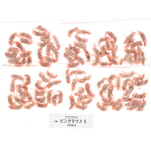 ySzⓀtbV}EX sN}EXS 1~2g 100C(Vi)