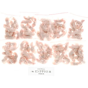 ySzⓀtbV}EX sN}EXM 3~4g 100C(Vi)