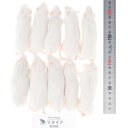 【全国送料無料】冷凍フレッシュマウス リタイア 40g以上 10匹