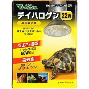 ySzroA fCnQ 22W oXLOCg ۉ (Vi)