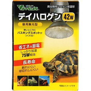 ySzroA fCnQ 42W oXLOCg ۉ (Vi)