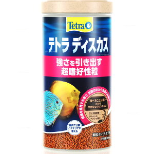 ySzeg fBXJX 300g (VpbP[W)(Vi)