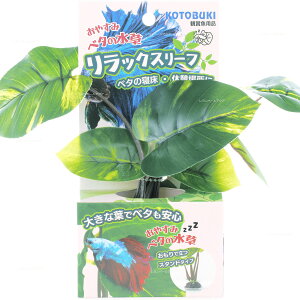 ySzRguL bNX[t x^̐X^h (Vi)